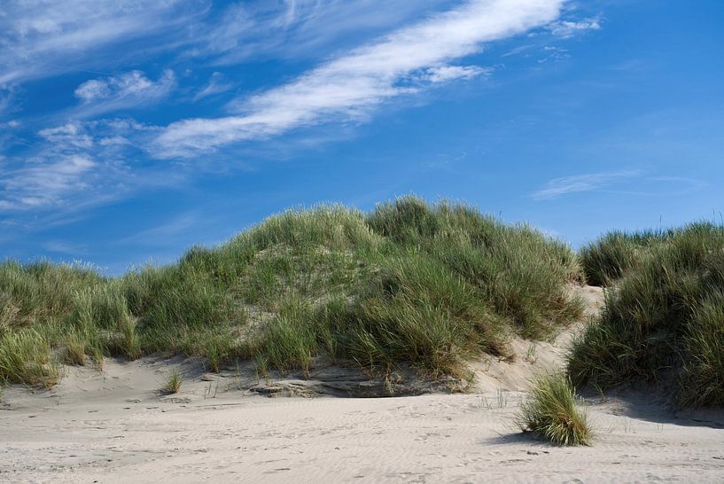 L'été sur Baltrum par Anja B. Schäfer