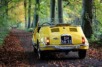 Fiat 500 Cabrio jolly. Klassiker / Oldtimer / Yountimer