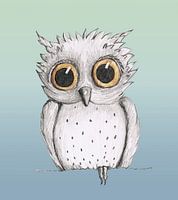 Cute owl