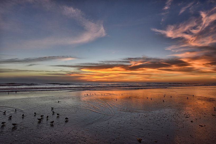 Zonsopgang op het strand van Miami. par Tilly Meijer