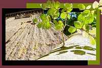 Alter Baum neben einer alten Säule