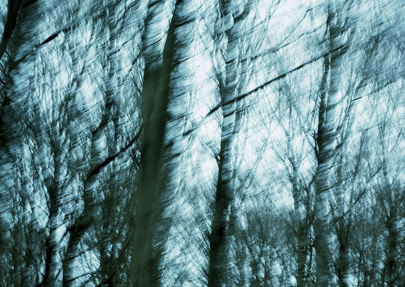 Schatten im Birkenwald von Anita Snik-Broeken