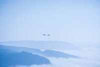 Au-dessus du brouillard