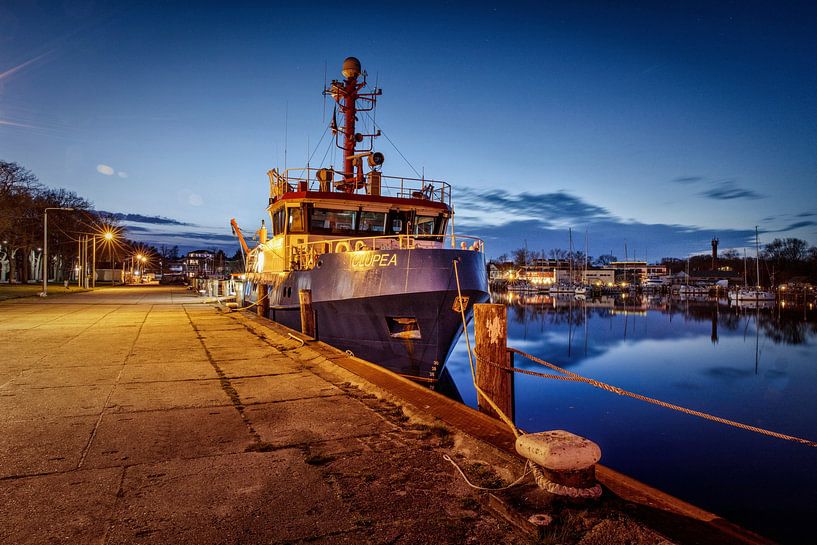 Clupea @ Haven Lauterbach von Rob Boon