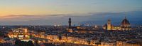 Florence Panorama