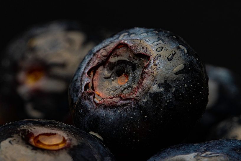 frische Heidelbeere von Blackbird PhotoGrafie