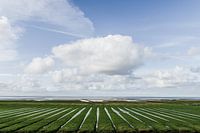 Innendeichs - Außendeichs Foto 3