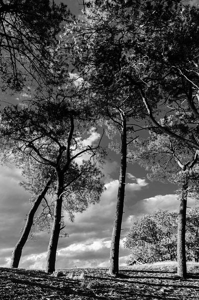 A la fin d'une belle journée. par Sander Strijdhorst