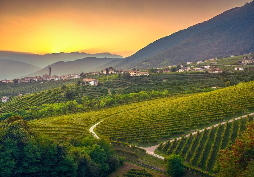 Prosecco-Hügel und Weinberge bei Sonnenuntergang. Italien von Stefano Orazzini