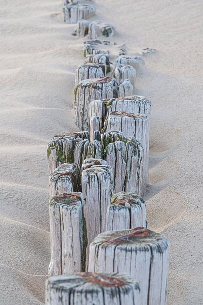 La plage : des brise-lames dans le sable de Cadzand par Marjolijn van den Berg