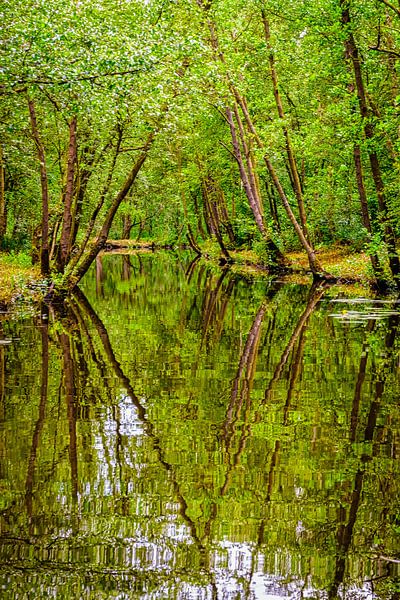  Martelaarsgracht in Naardermeer, Netherlands by Rietje Bulthuis
