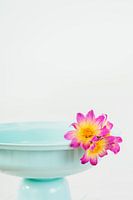 Turquoise bowl with flowers