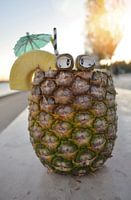 Fruity moments with Pina Colada-Paul