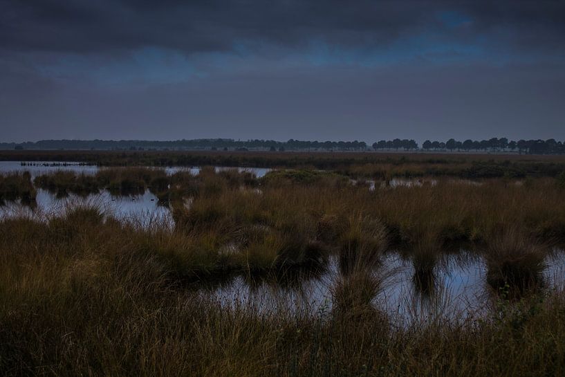Hollands landschap von Jacco van der Veen