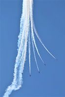 red arrows show