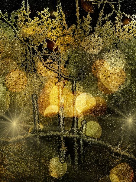 Winter Wonderland. Stars. by Alie Ekkelenkamp