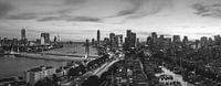 Ligne d'horizon Rotterdam panorama pendant coucher du soleil - Noir et blanc