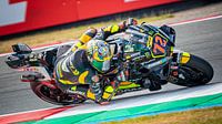Marco Bezzecchi (nr72) @ TT Assen 2023 (MotoGP)