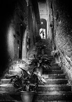 Regen in Barga Toskana