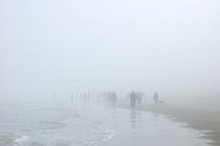 Strandlopers in de mist