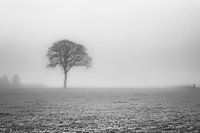 Kalter nebliger Morgen