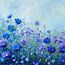 Cornflower