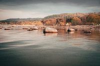 Couleurs d'automne au bord de l'eau et de la forêt de Bastad, Suède