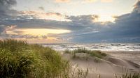 Dunes de Petten aan Zee (mer du Nord)
