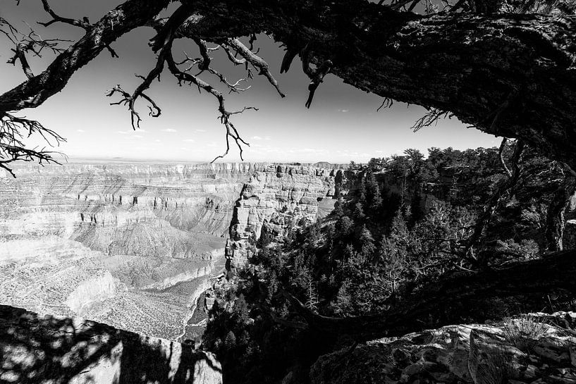 Angels Window in de Grand Canyon van Gerben Tiemens