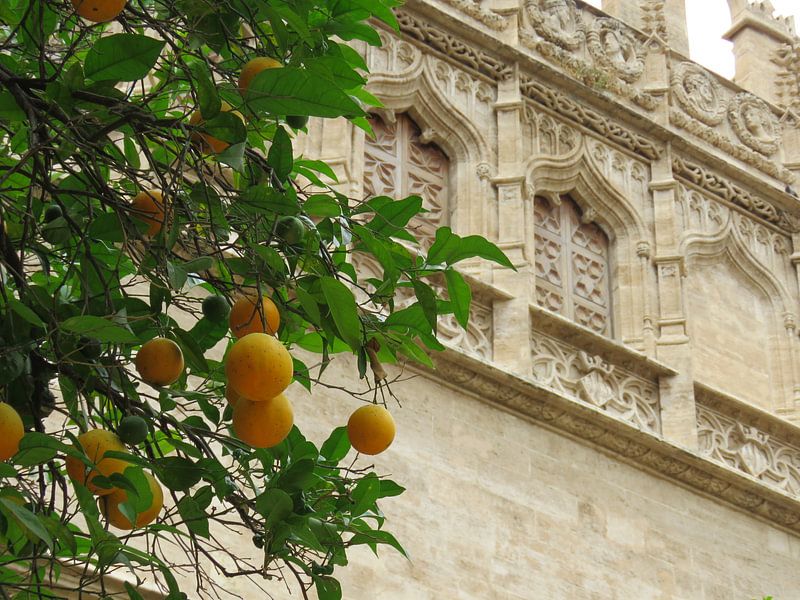 Fruit en kunst, scherptediepte von Maja van Eijndthoven