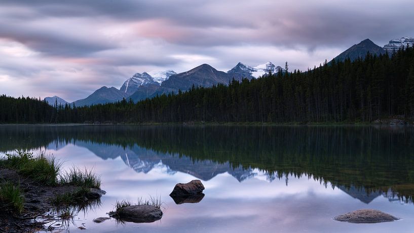 Herbert Lake, Icefield Parkway, Banff National Park, Alberta, Canada by Alexander Ludwig