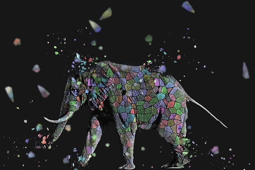 La mosaique de l'éléphant von Catherine Fortin