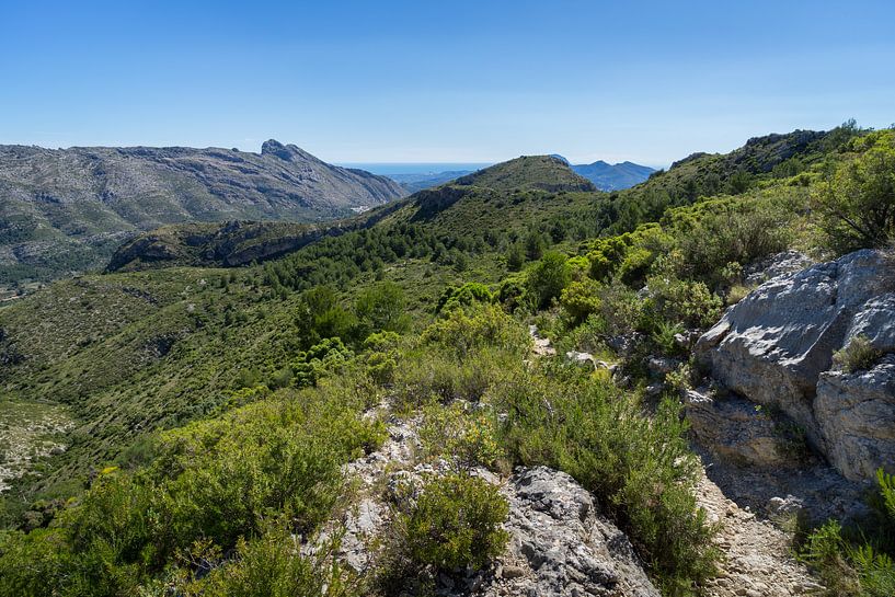 Grüne Berglandschaft und der Felsen Cavall Verd von Adriana Mueller