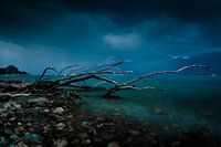 This storm is here to stay...