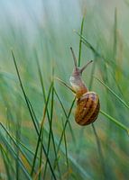 Der einzige Weg führt nach oben!