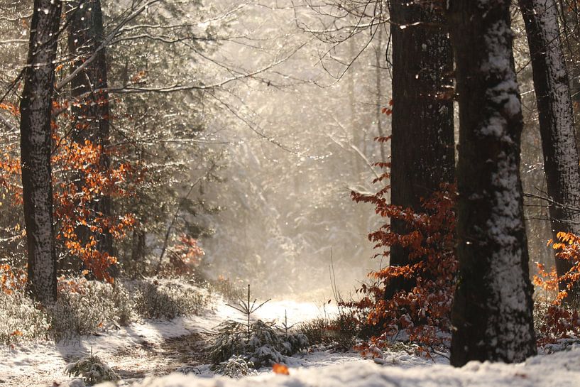 Magisches Schneeporträt von JacQ