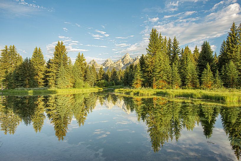 Spiegelung im Schlangenfluss von Kris Hermans