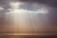 Le dernier brin de soleil.