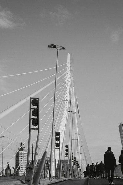 Verbindung von studio Arcis Fotografie