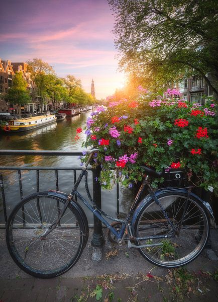 Amsterdamer Kanal mit Blume und Fahrrad von Niels Dam