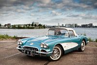 '59 Chevy Corvette (randloos)