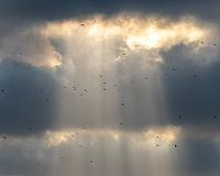 Les échelles de Jacob