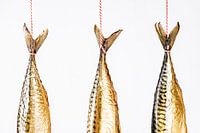 Makrelen staarten hangend tegen een witte achtergrond