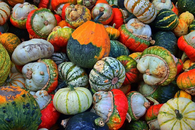 bunte Vielfalt von Edgar Schermaul