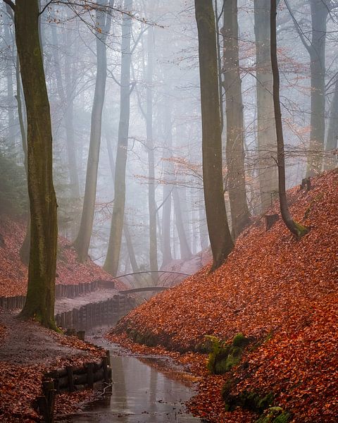 Ruisseau sinueux par Mario Visser