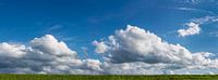 Nuages au-dessus du panorama de la digue de l'IJssel fraîchement fauchée