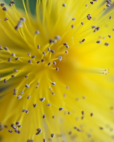 Be The One Girl by Brian Raggatt