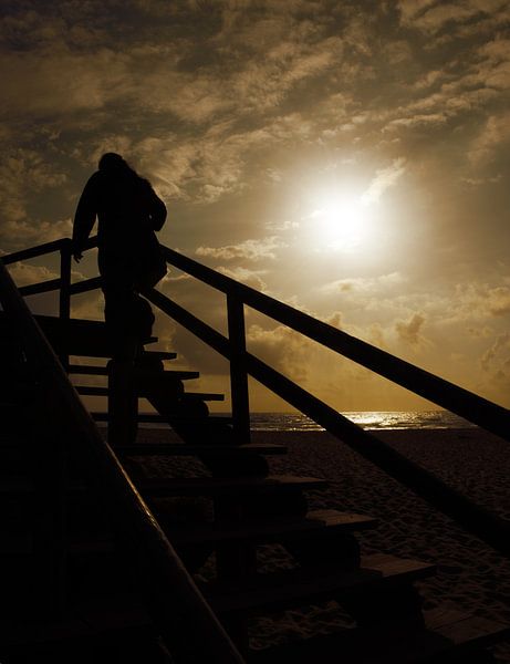 Op &amp; Neer / Up &amp; Down par Harrie Muis