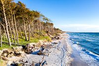 Der Weststrand auf dem Darß