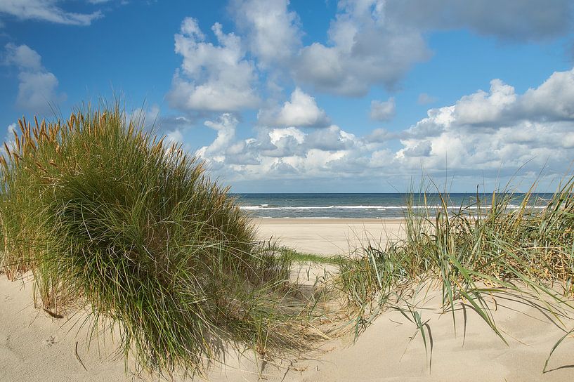 Meerblick von Ad Jekel